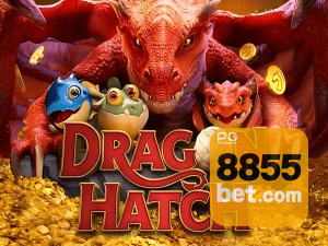 8855BET PIX instantâneo Brasil - Depósito e saque em minutos 24/7