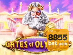 8855BET APP mobile iOS Android - 187 mil downloads São Paulo Rio BH